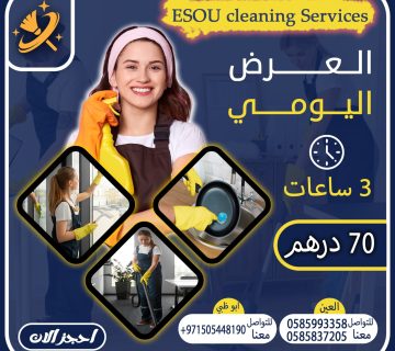 مكاتب تنظيف بالساعة في ابوظبي